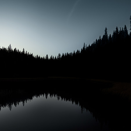 Mountain and forest